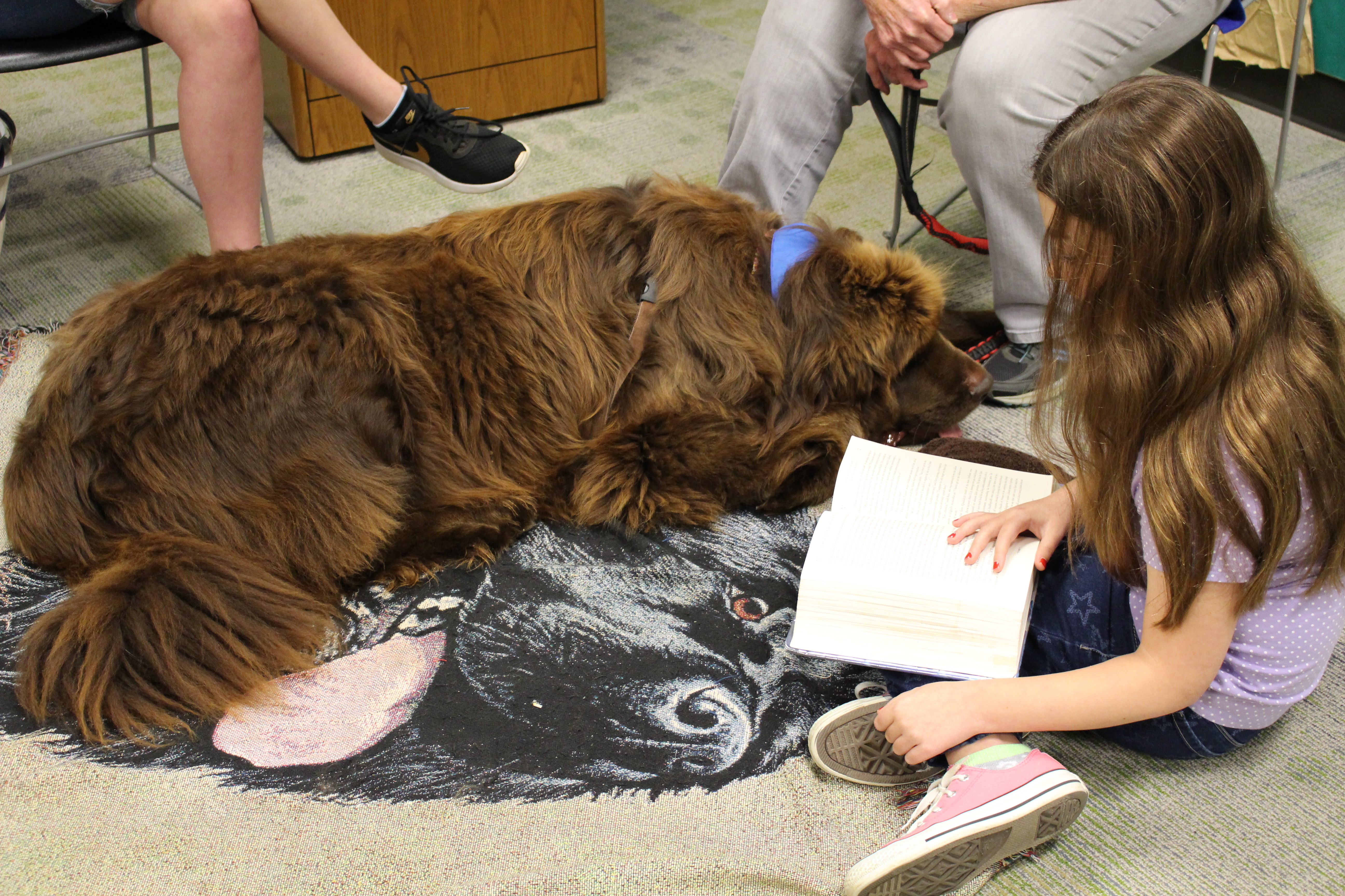 A girl reading to a large brown dog
