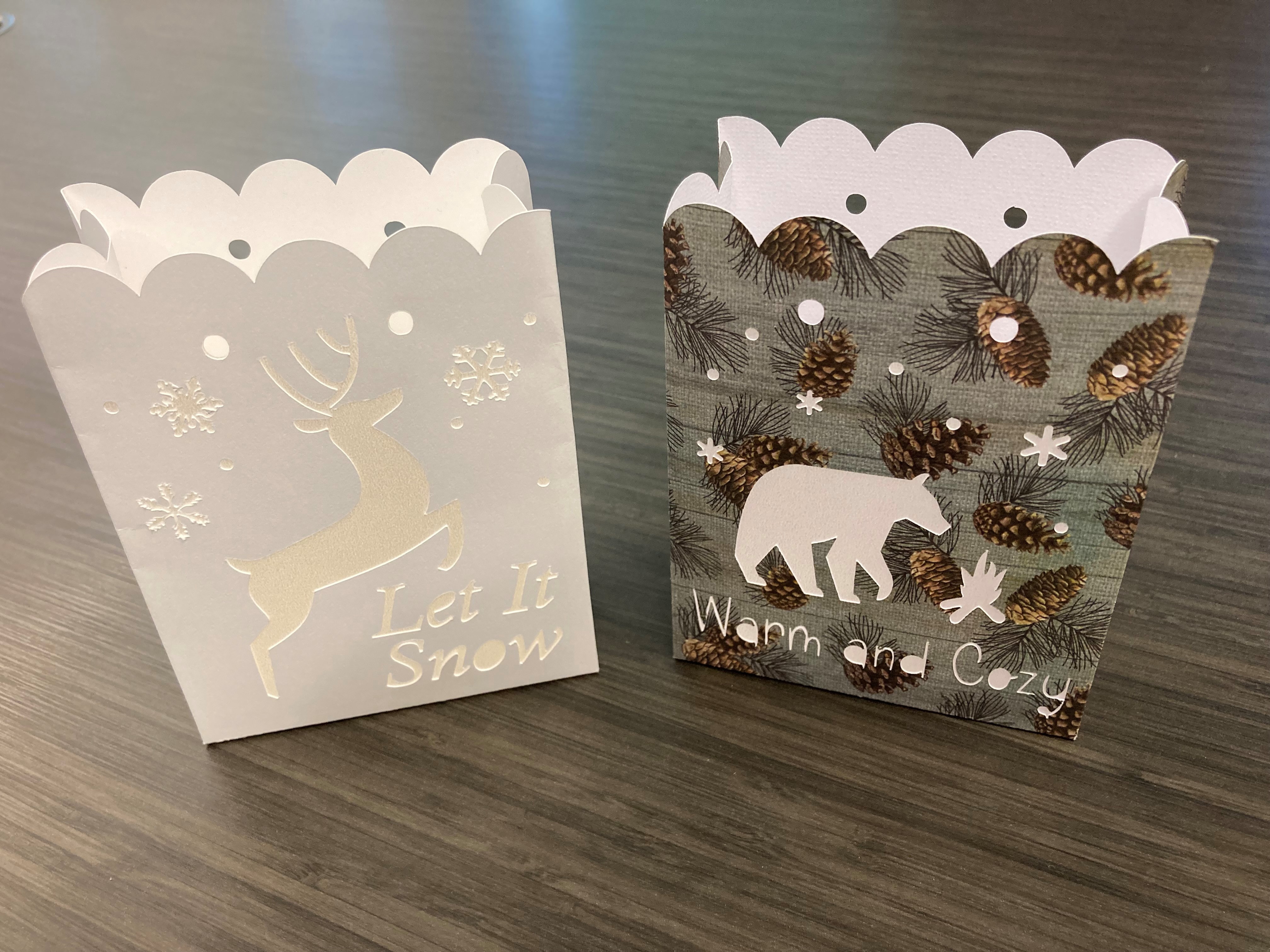 two paper gift bags