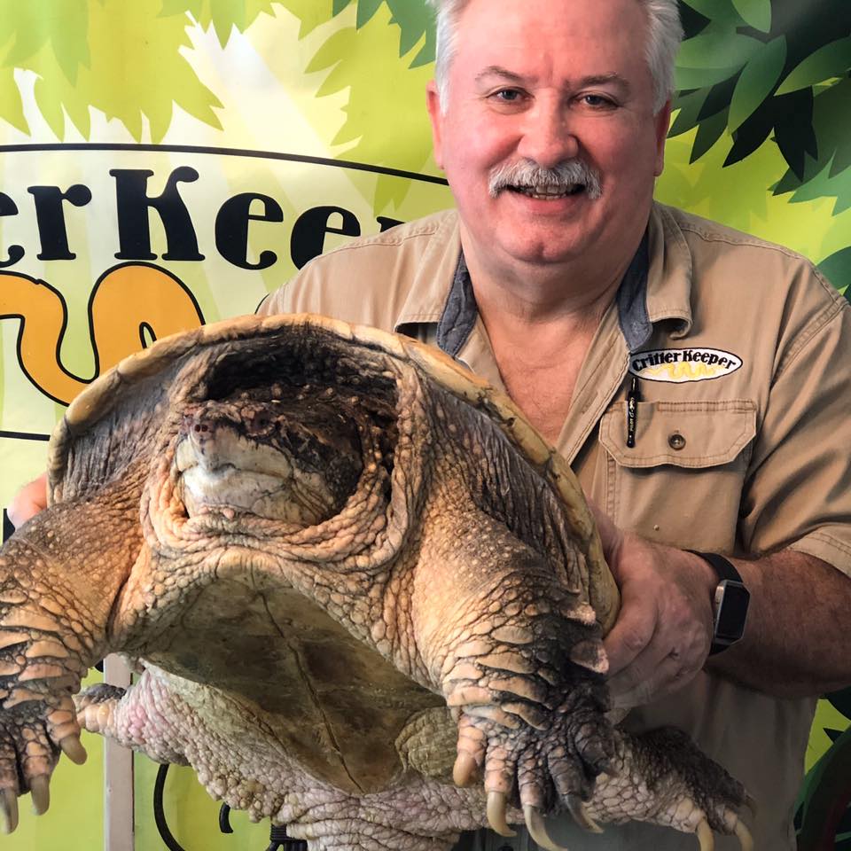 Critter Keeper with a tortoise