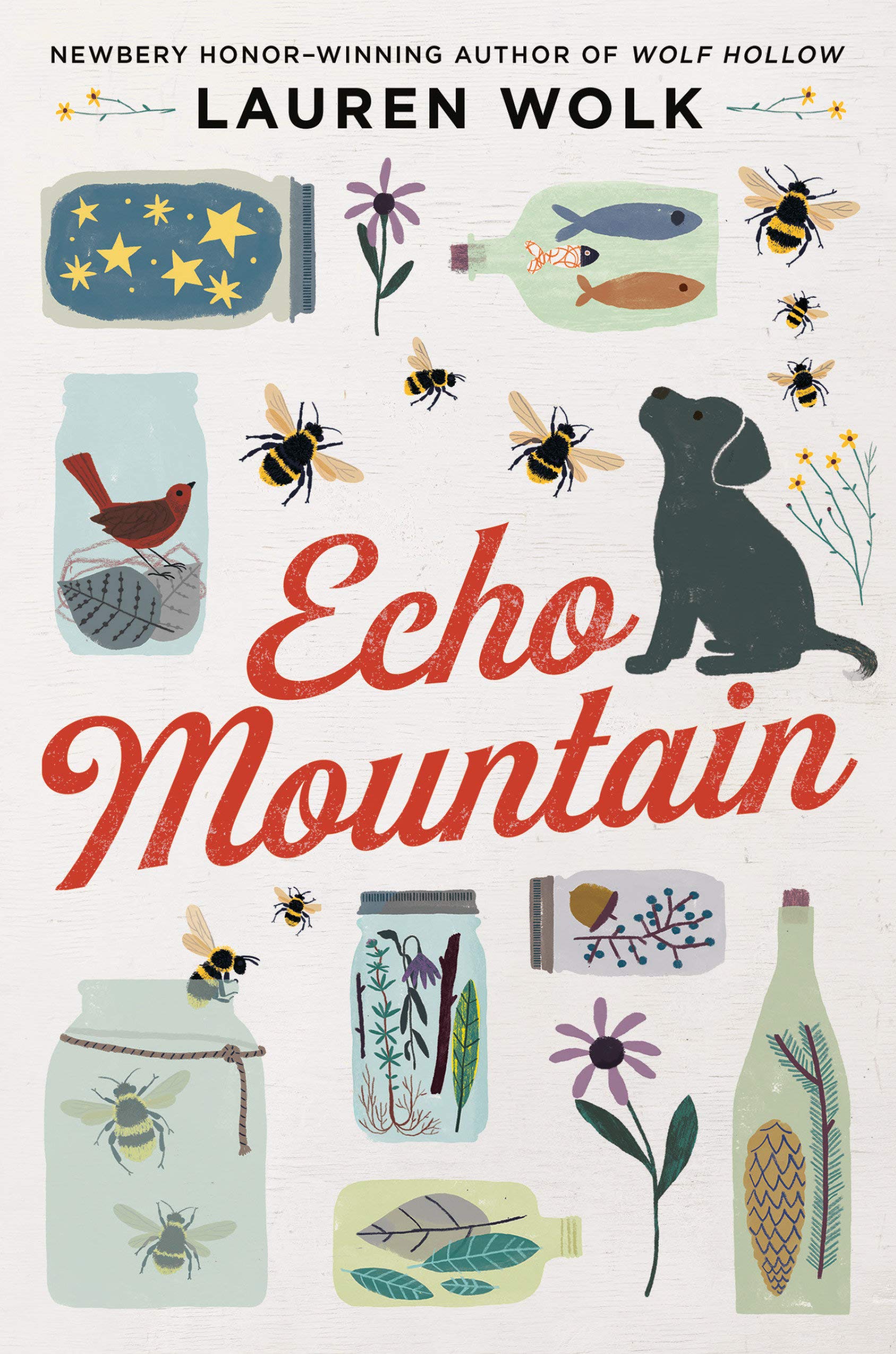 book cover for Echo Mountain by Lauren Wolk