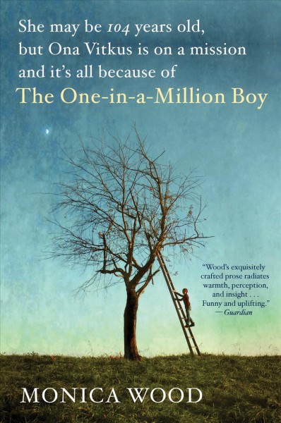 tree with a ladder leaned against it and the title The One-in-a-million Boy by Monica Wood