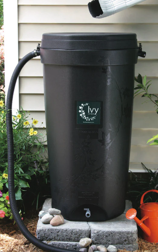 Image of Ivy Rain Barrel