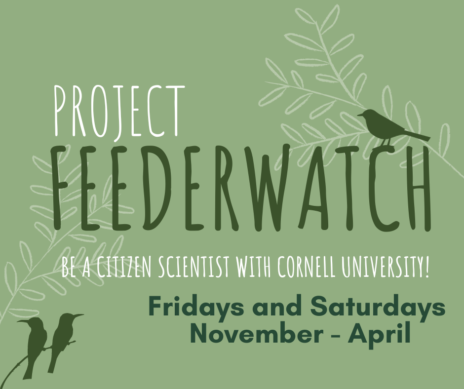 project feederwatch
