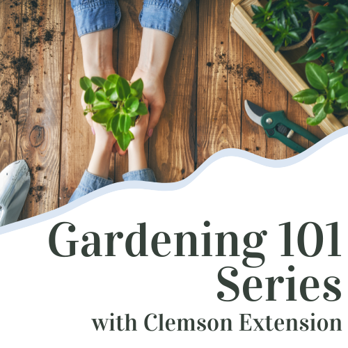 Gardening 101 Series logo