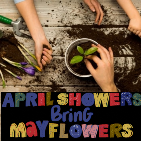 April Showers bring May Flowers image with hands in dirt and planting flowers