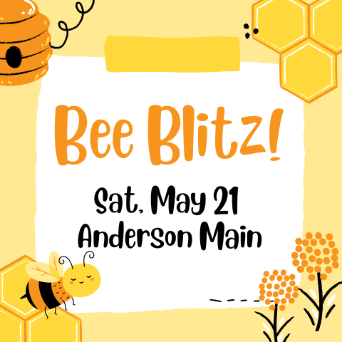 Bee Blitz - Celebrate World Bee Day