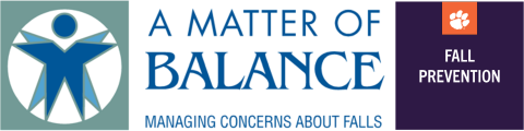"A Matter of Balance: managing concerns about falls"