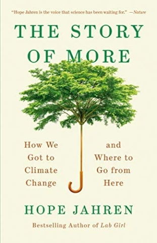 book cover of the story of more