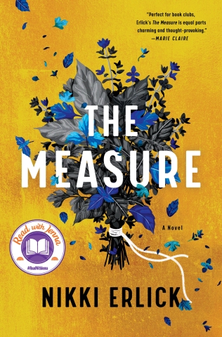 cover of 'the measure' by nikki erlick