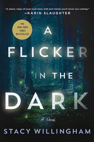 a flicker in the dark cover