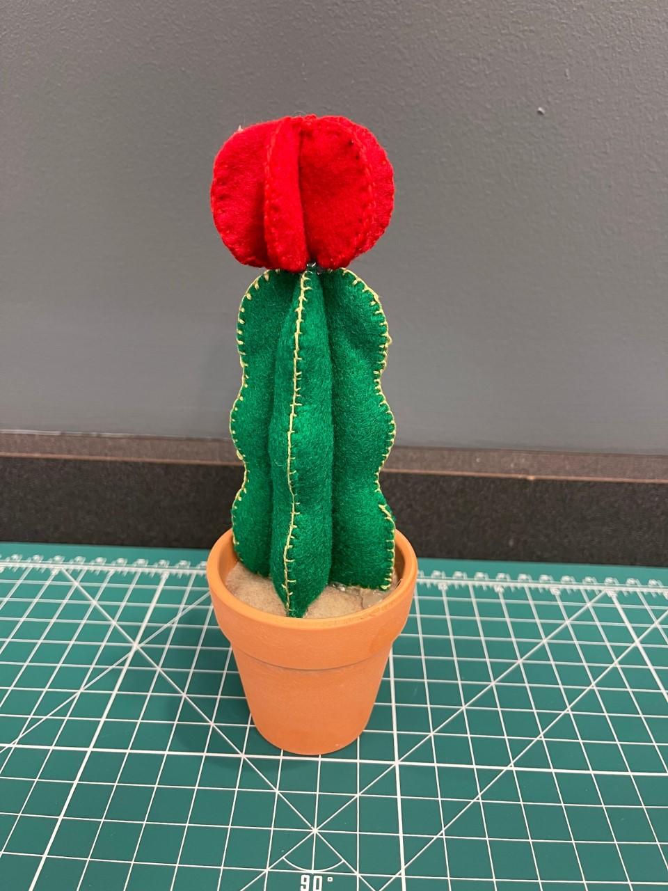 felt cactus 