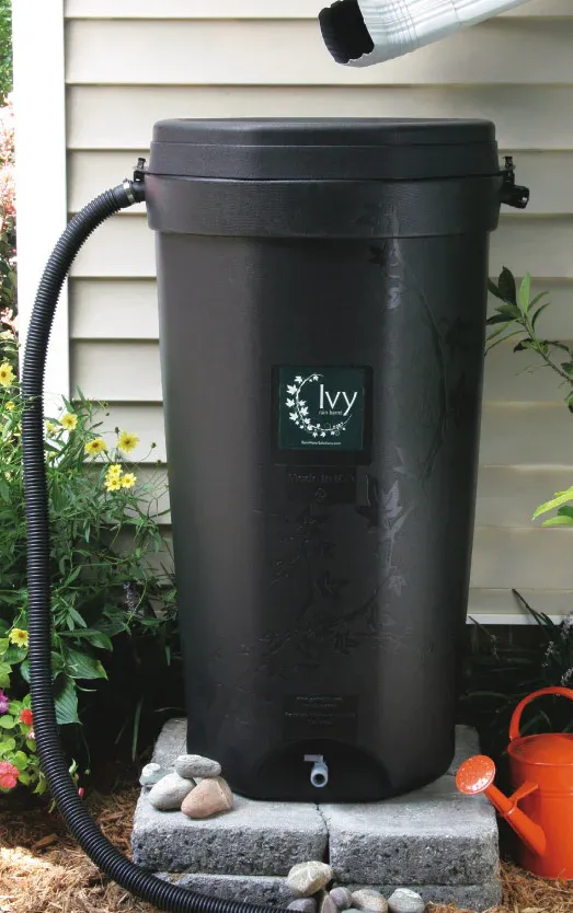 Image of Ivy Rain Barrel